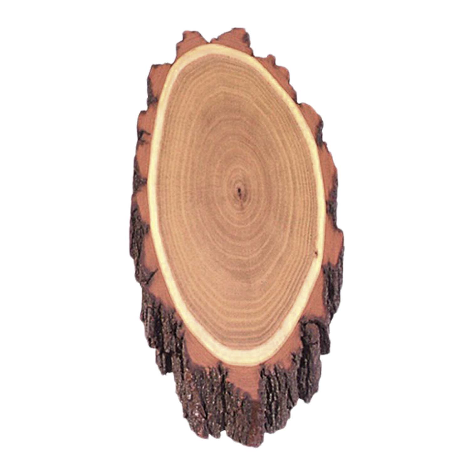 Akazien-Gehörnbrett  22x12 cm mit 1 Kieferfach